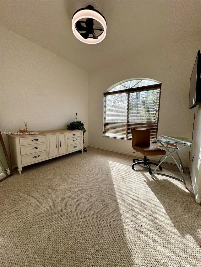 unfurnished room featuring light colored carpet