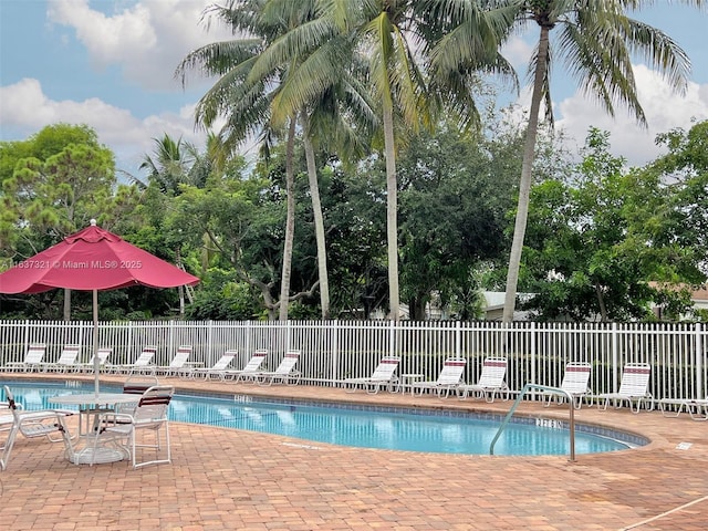 view of pool with a patio area