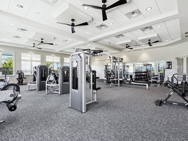 exercise room with a paneled ceiling and carpet