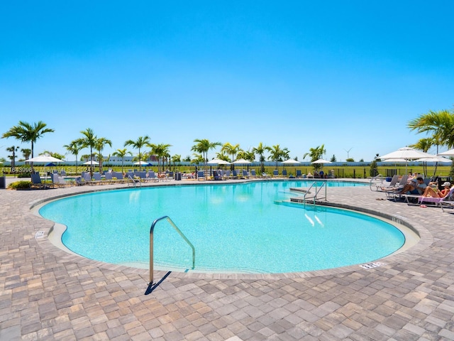 view of pool featuring a patio area