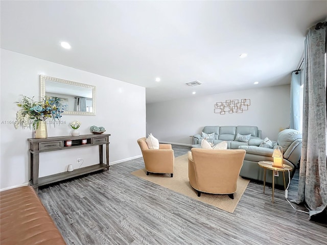 living room featuring wood-type flooring