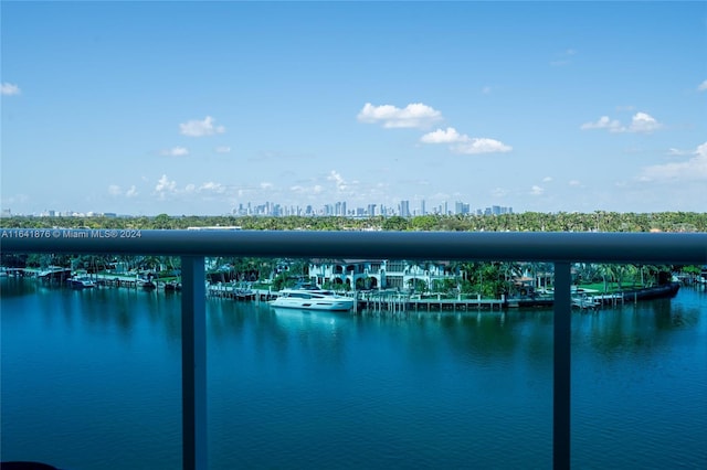 water view featuring a boat dock