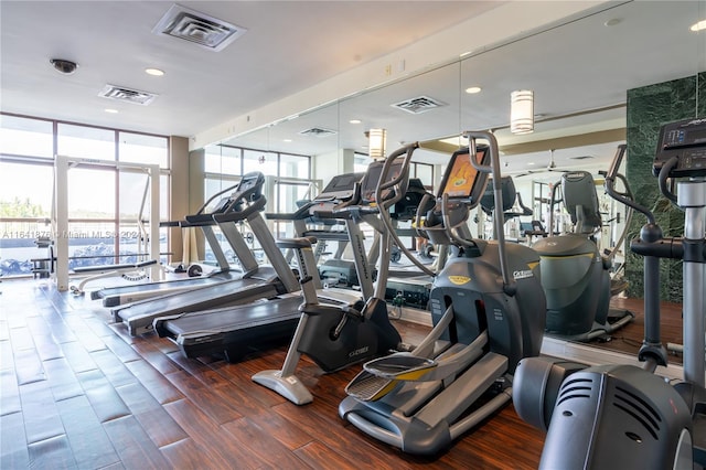 exercise room with expansive windows, dark hardwood / wood-style floors, and a wealth of natural light