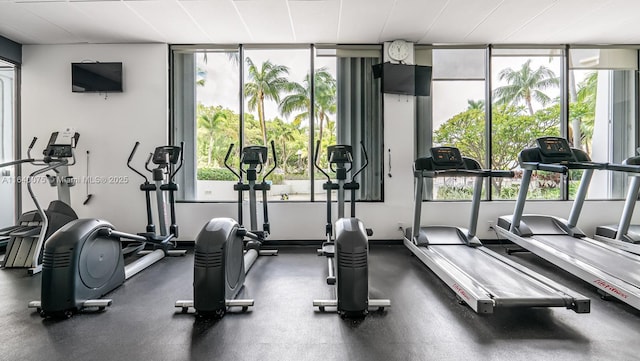 workout area featuring plenty of natural light