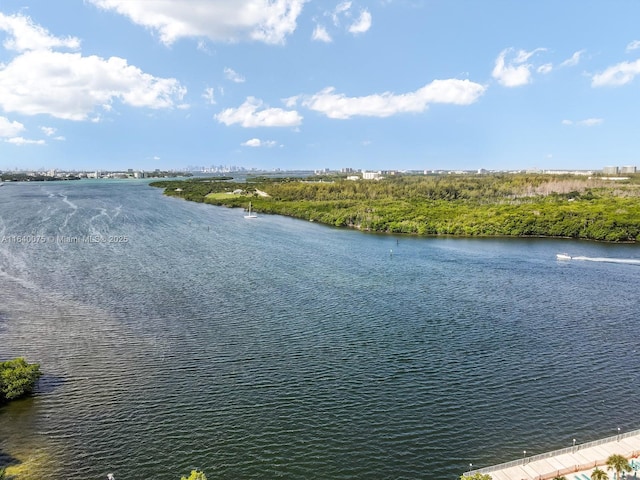 view of water feature