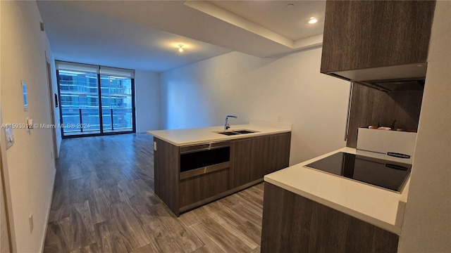 kitchen featuring a wall of windows, hardwood / wood-style flooring, sink, and dark brown cabinetry