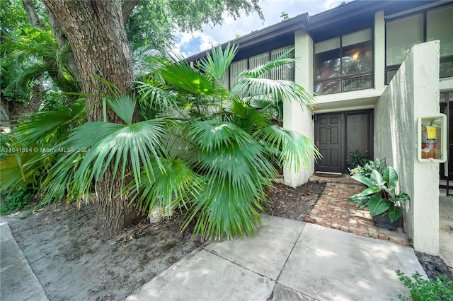 property entrance with stucco siding