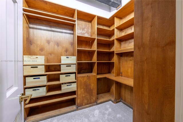 spacious closet featuring carpet