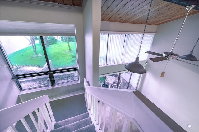 stairs featuring ceiling fan and wooden ceiling