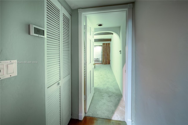 hallway featuring carpet floors