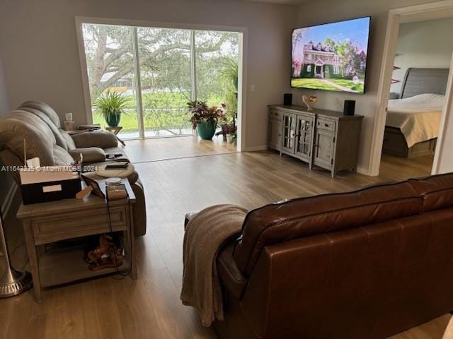 living room with light hardwood / wood-style floors