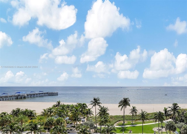 water view featuring a view of the beach