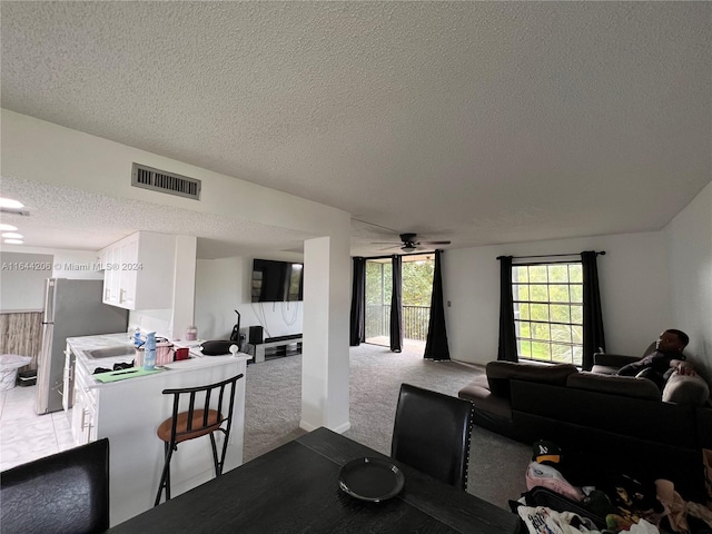 carpeted living room with ceiling fan, sink, and a textured ceiling