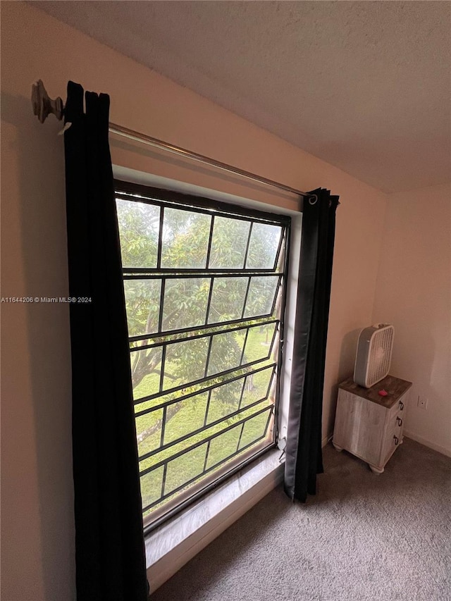 room details with carpet and a textured ceiling