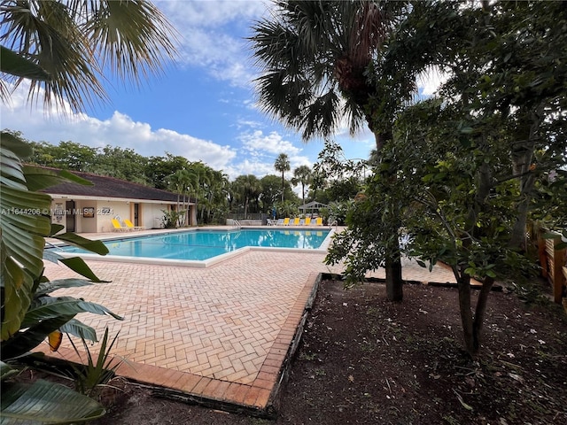 view of swimming pool with a patio