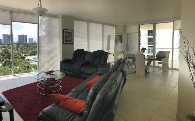 living room with light tile patterned floors and a healthy amount of sunlight