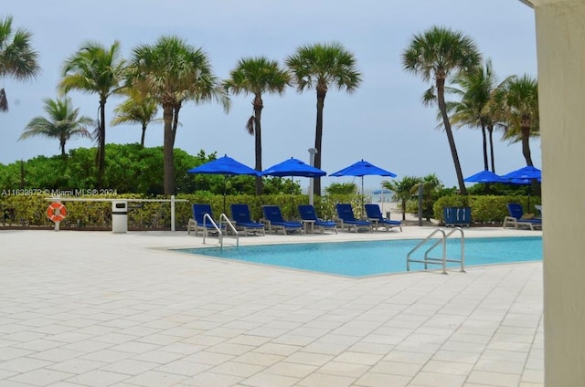 view of pool with a patio area