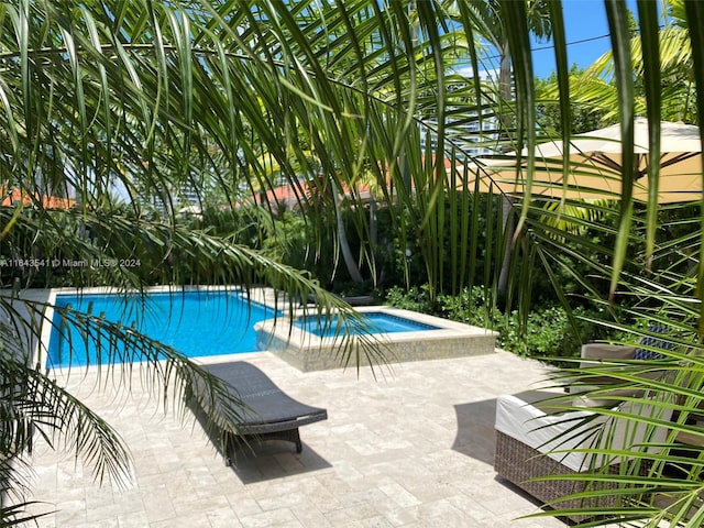 view of pool with a patio area and an in ground hot tub