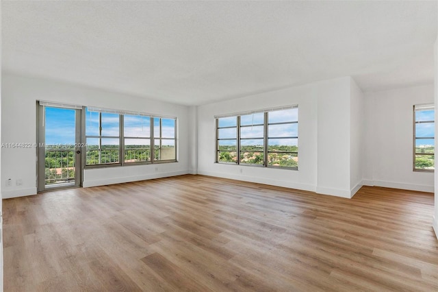 spare room with light hardwood / wood-style floors