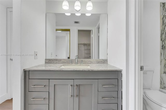 bathroom with vanity, hardwood / wood-style floors, and toilet