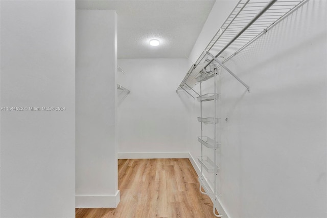 walk in closet with light hardwood / wood-style flooring