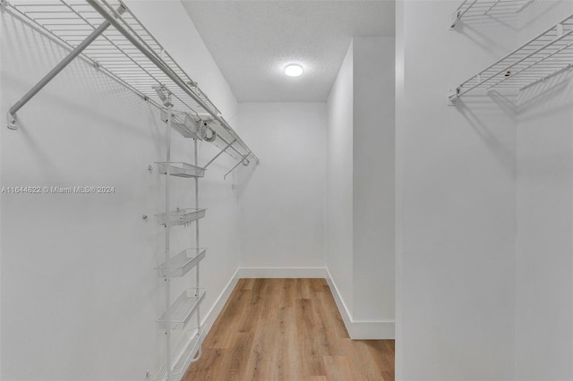 walk in closet with light hardwood / wood-style floors