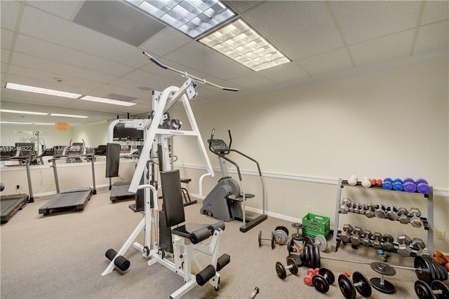 gym featuring carpet and a drop ceiling