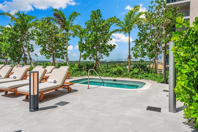 view of pool with a patio