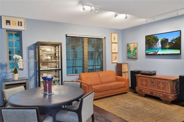 dining room with track lighting