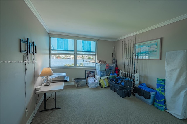 misc room featuring ornamental molding and carpet