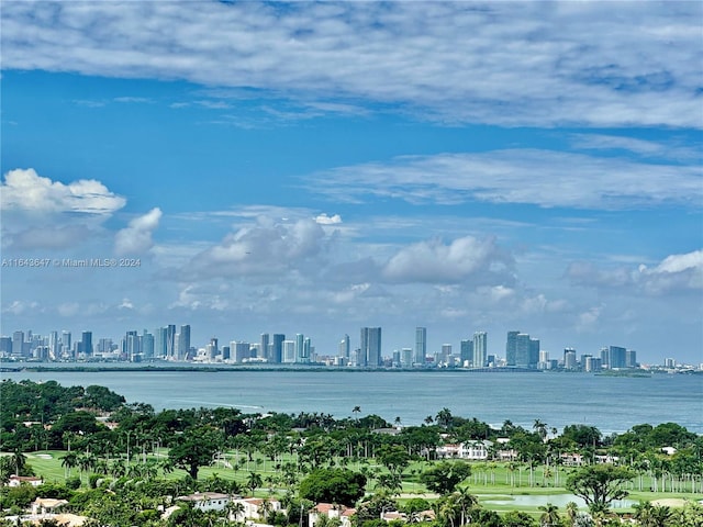 property view of water