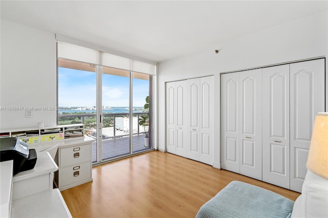 interior space with multiple closets, light hardwood / wood-style flooring, and access to exterior