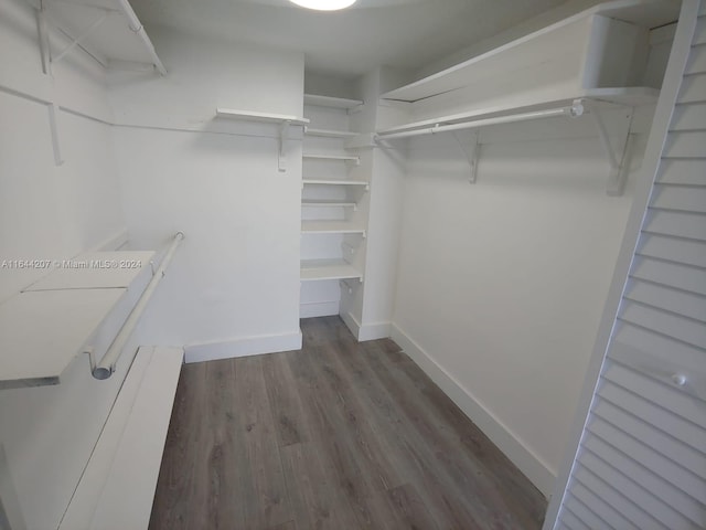 spacious closet featuring dark hardwood / wood-style floors