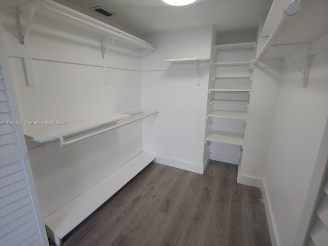 walk in closet featuring dark wood-type flooring