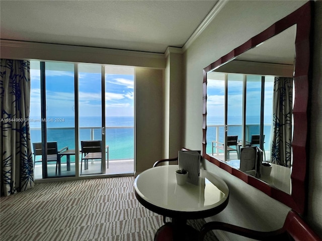 sunroom with a water view