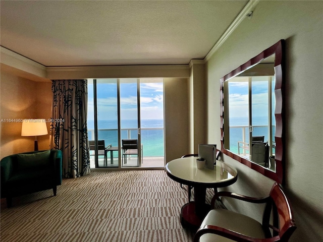 living area with a water view, a healthy amount of sunlight, and ornamental molding