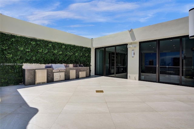 view of patio with grilling area and area for grilling