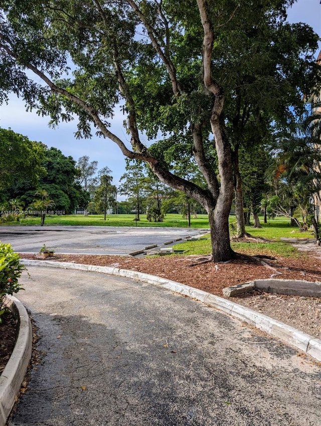 view of road featuring curbs