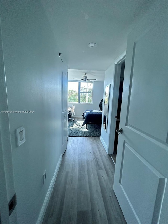 hallway with wood-type flooring