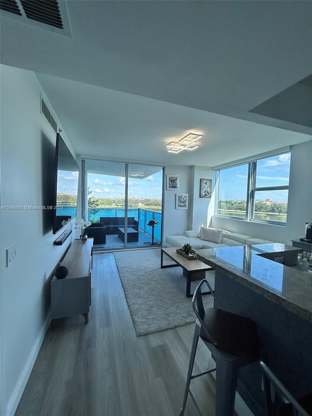 living room featuring hardwood / wood-style floors