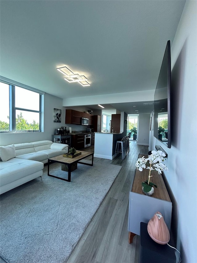 living room featuring a wealth of natural light and hardwood / wood-style floors