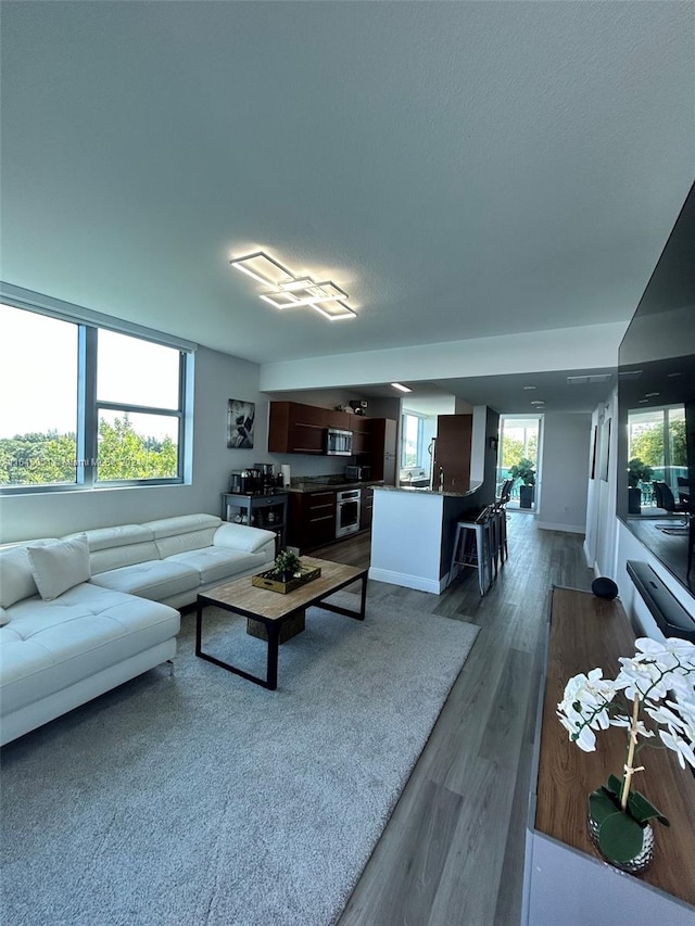 living room featuring hardwood / wood-style flooring and plenty of natural light