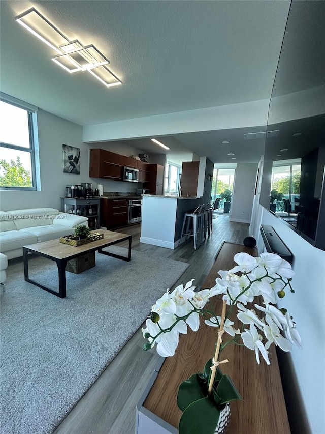 living room with a wealth of natural light and hardwood / wood-style flooring