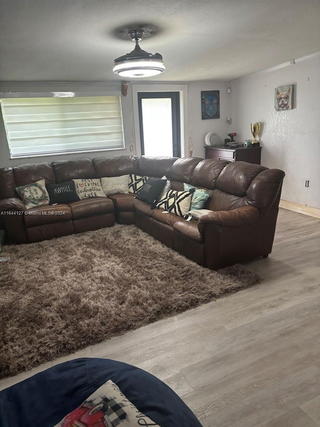 living room with wood-type flooring and a textured ceiling