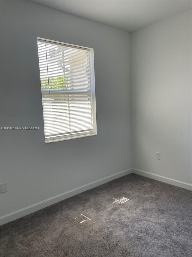 unfurnished room featuring carpet