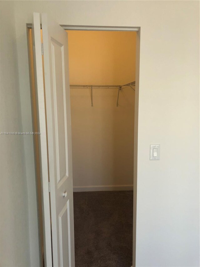 walk in closet with carpet flooring