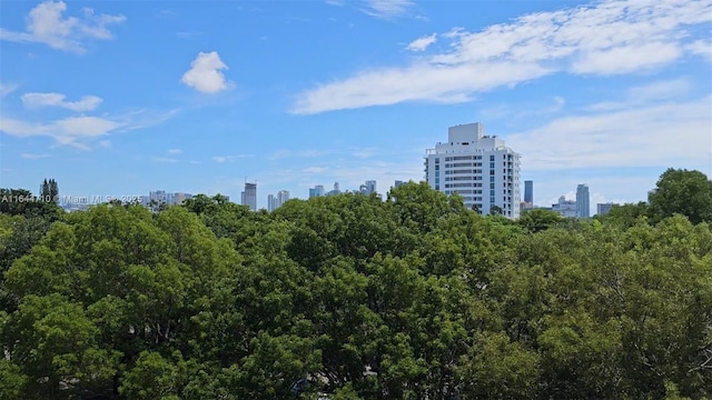 1650 Coral Way Unit 601, Miami, FL 33145 - view of local wilderness with city skyline