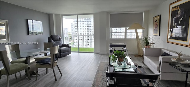 living room featuring hardwood / wood-style floors