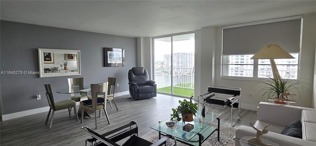 living room with hardwood / wood-style flooring