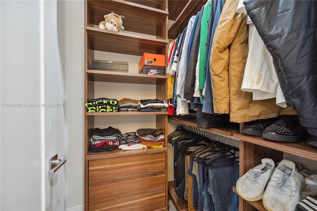 view of walk in closet